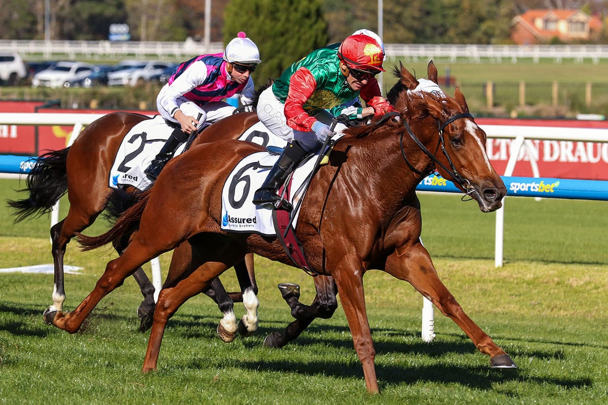 Trelawney family continues to make its mark