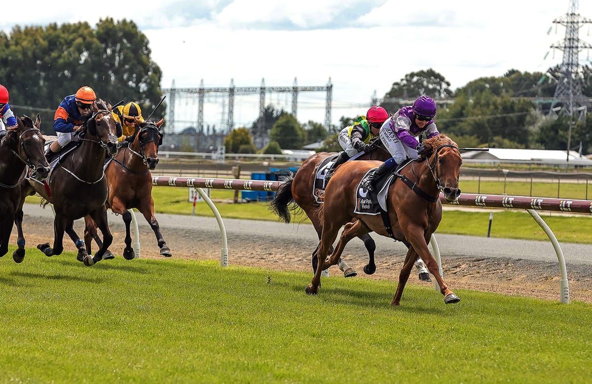 Ears Back targets black-type in season swansong