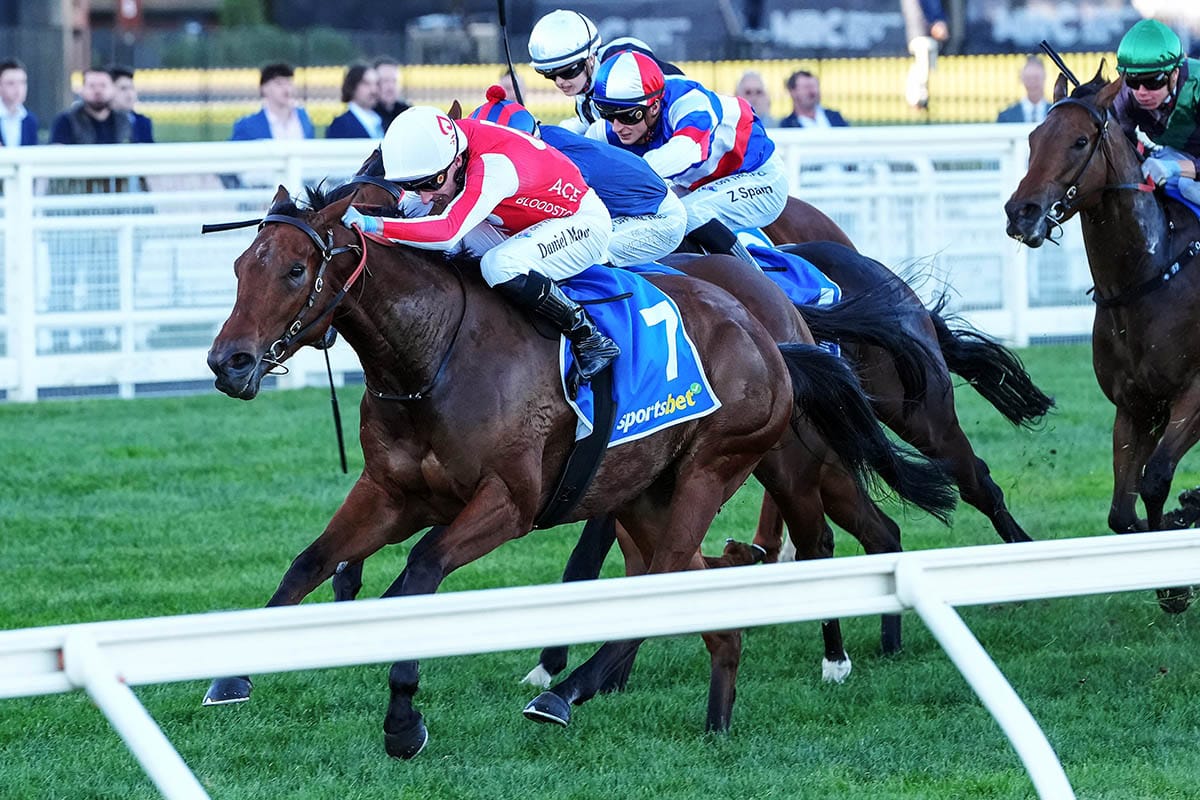 Niance makes bold return in Bel Esprit