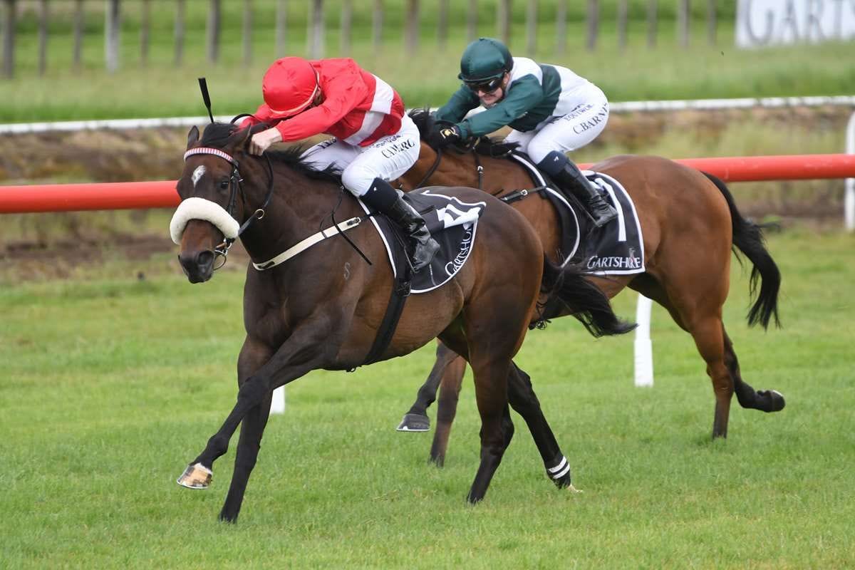 Sharp mare resuming at Ellerslie
