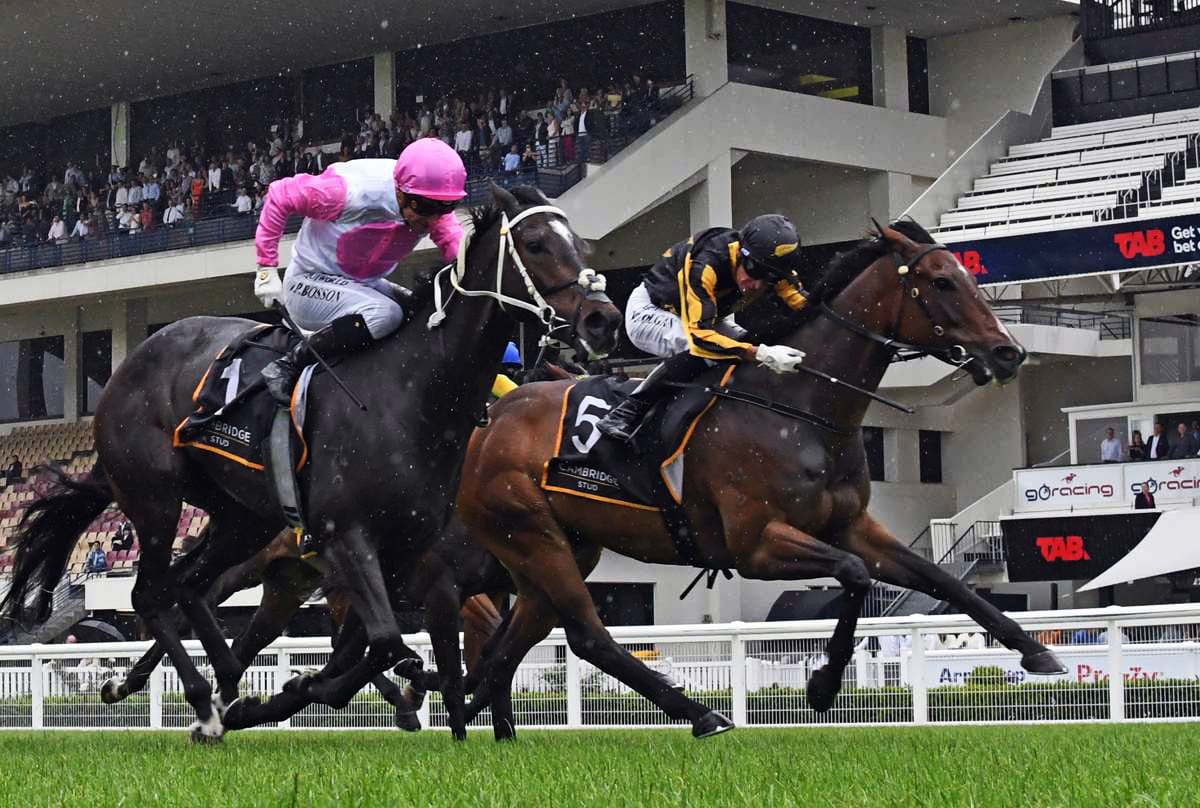 Former Hong Kong galloper seeking breakthrough win