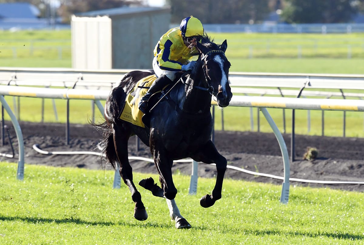 Ribkraka delivers winning Wexford double