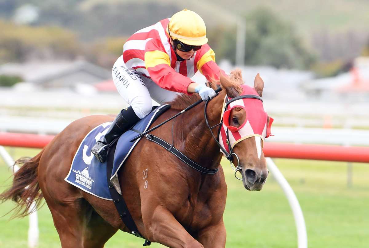 Temperton has two-pronged attack in local cup