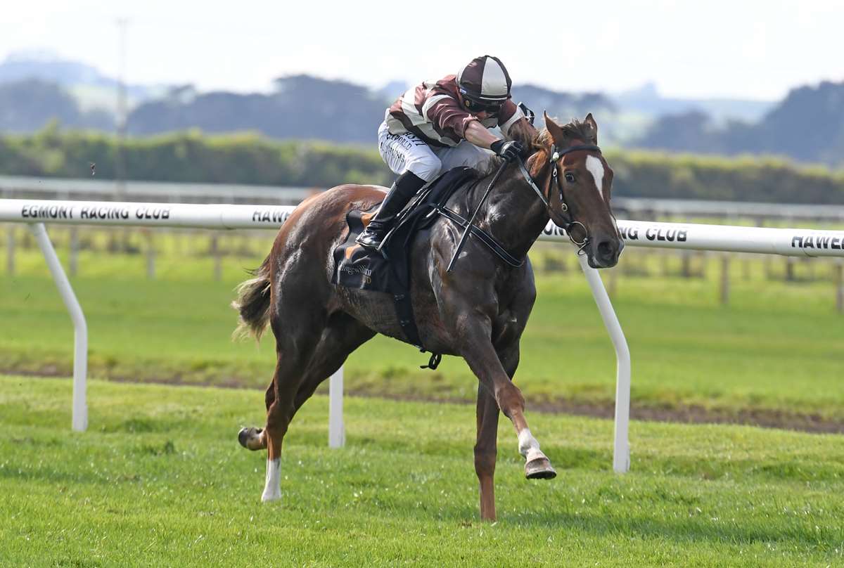 Gavelhouse the gift that keeps on giving for Sharrock