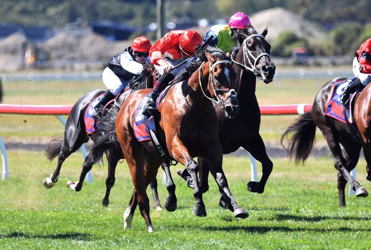 Smart three-year-old heads to Melbourne in top form for upcoming challenge