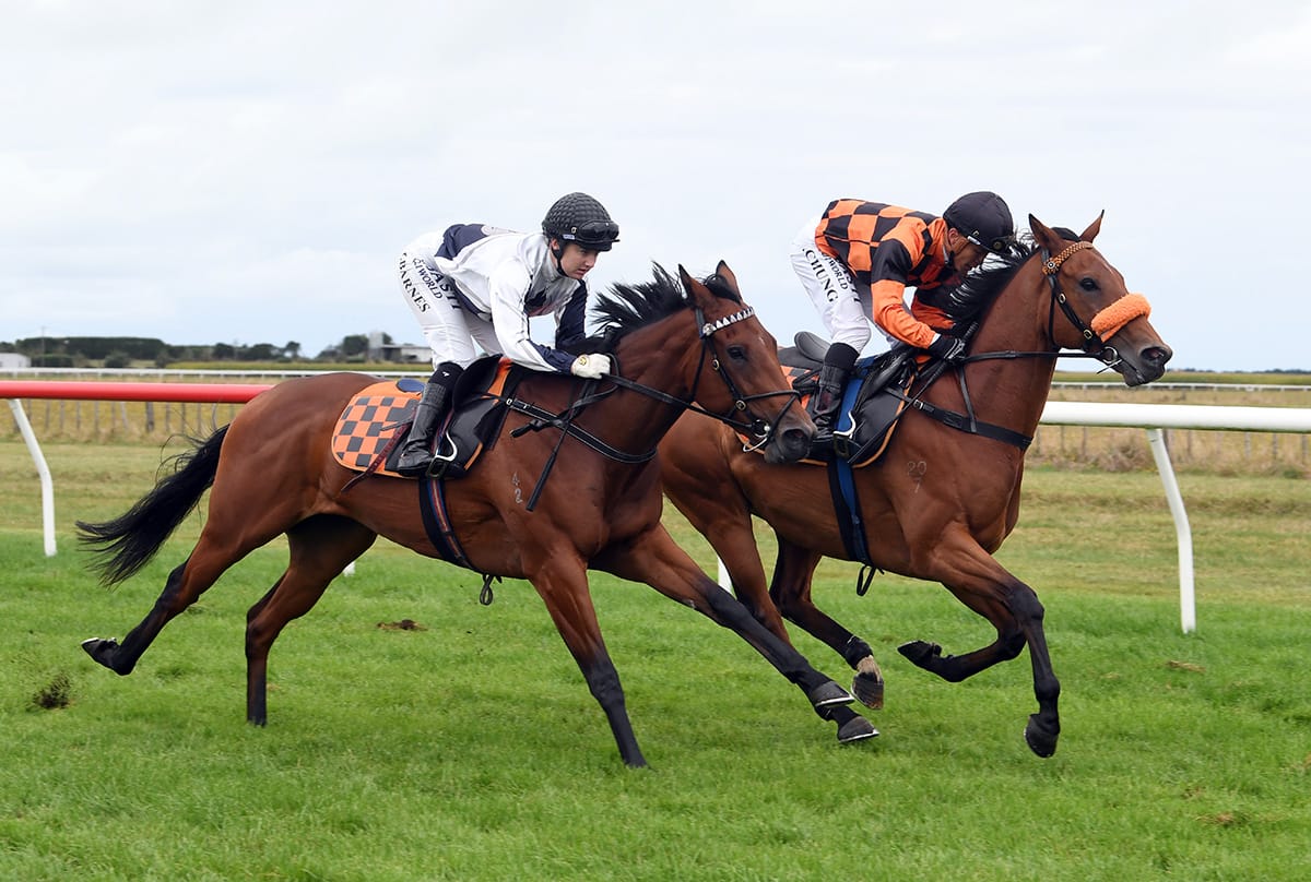 Heavy track to bring best out of Bradman 