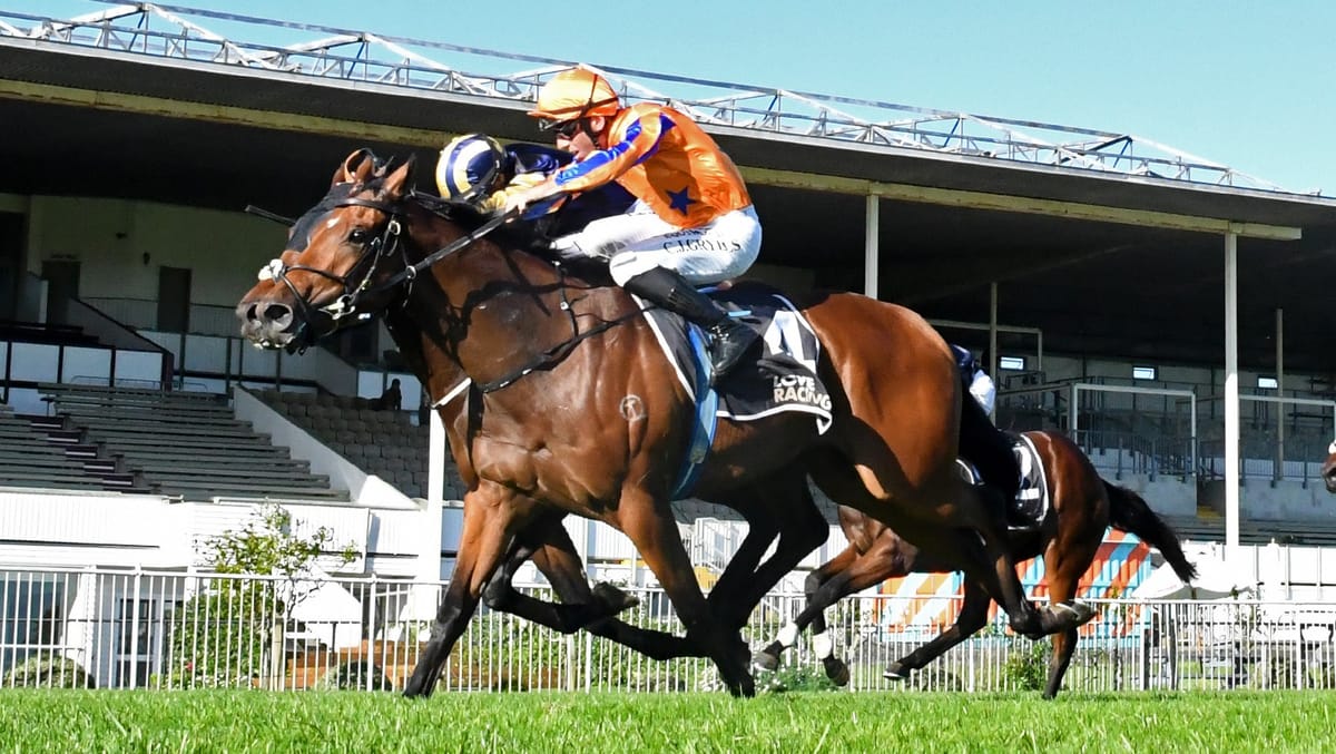 Te Akau Juvenile Out to Dominate Champagne Stakes