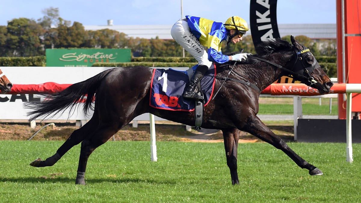 Kauri enjoys more success aboard Tristar