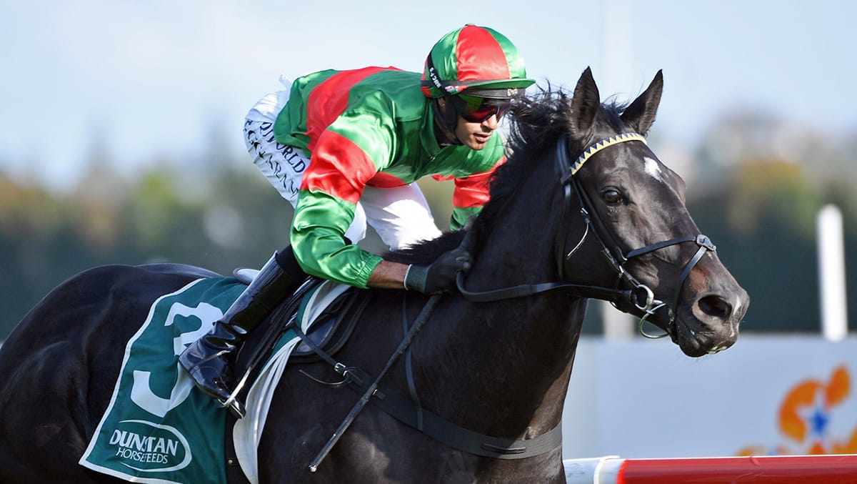 Change in tactics pays winning dividend for Uderzo