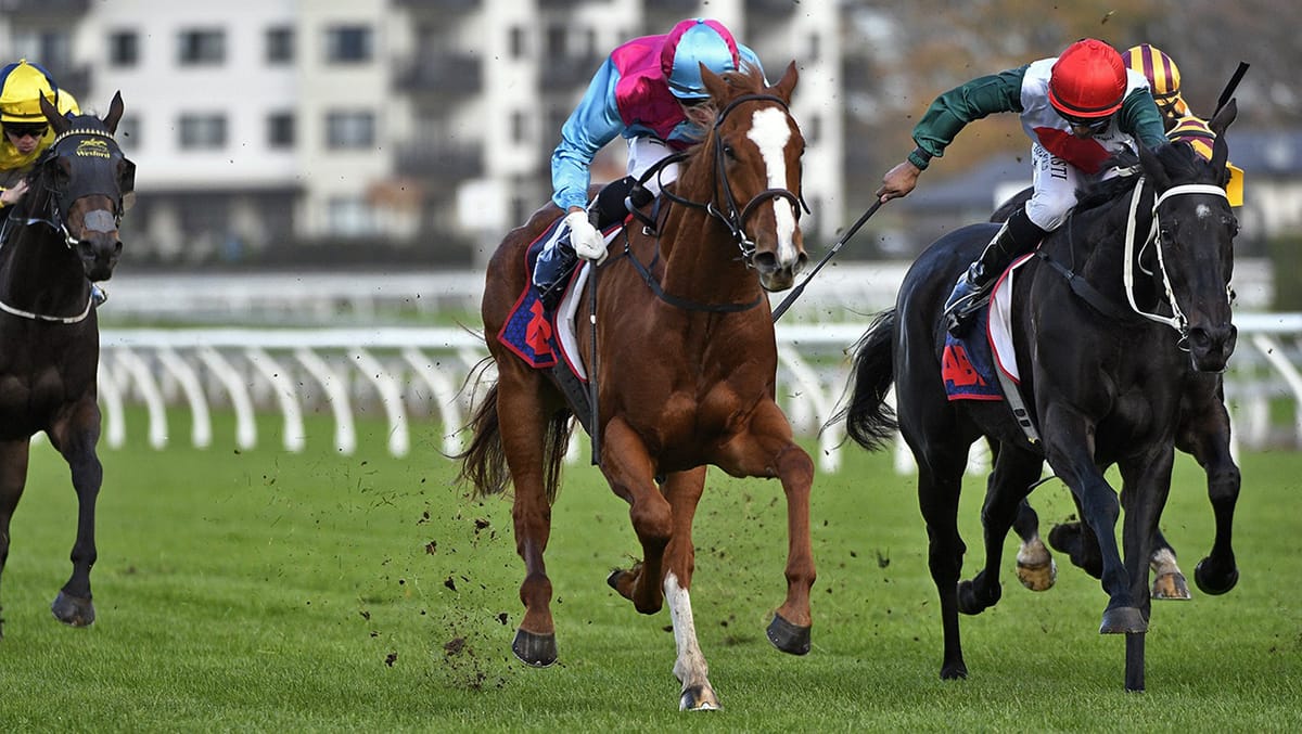 Whiskey ‘N Roses back in winning form