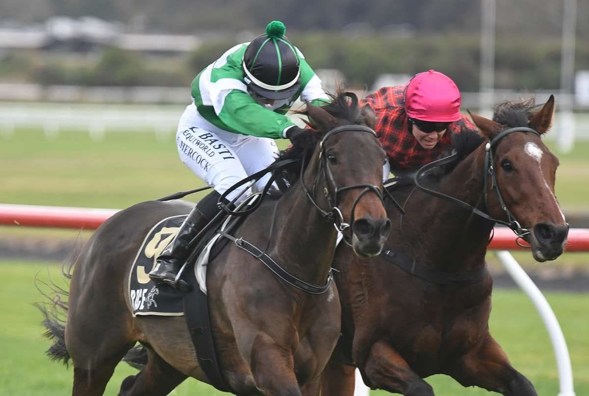 Who Knows never in doubt at Trentham