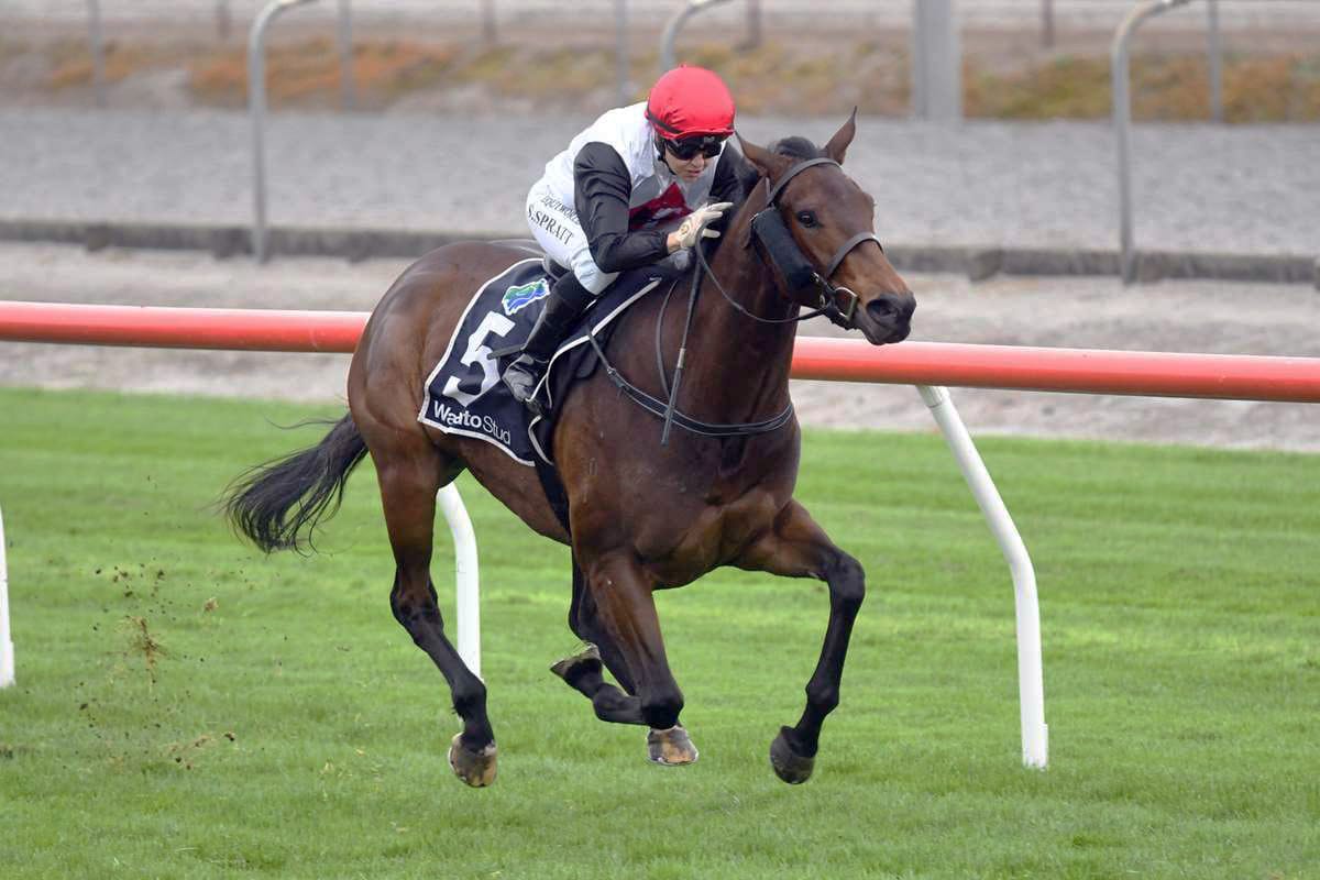 Alexanders hoping for healthy northern payday