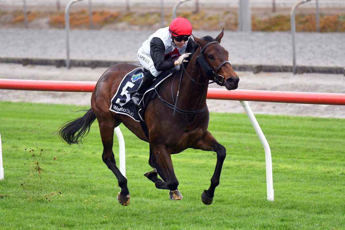 Another age-group target for Acapelago