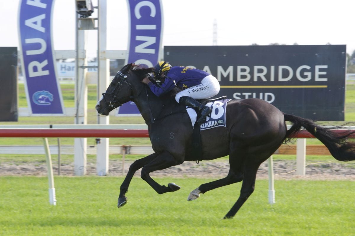 Sentimental breakthrough for Beetlegeuse at Ruakaka