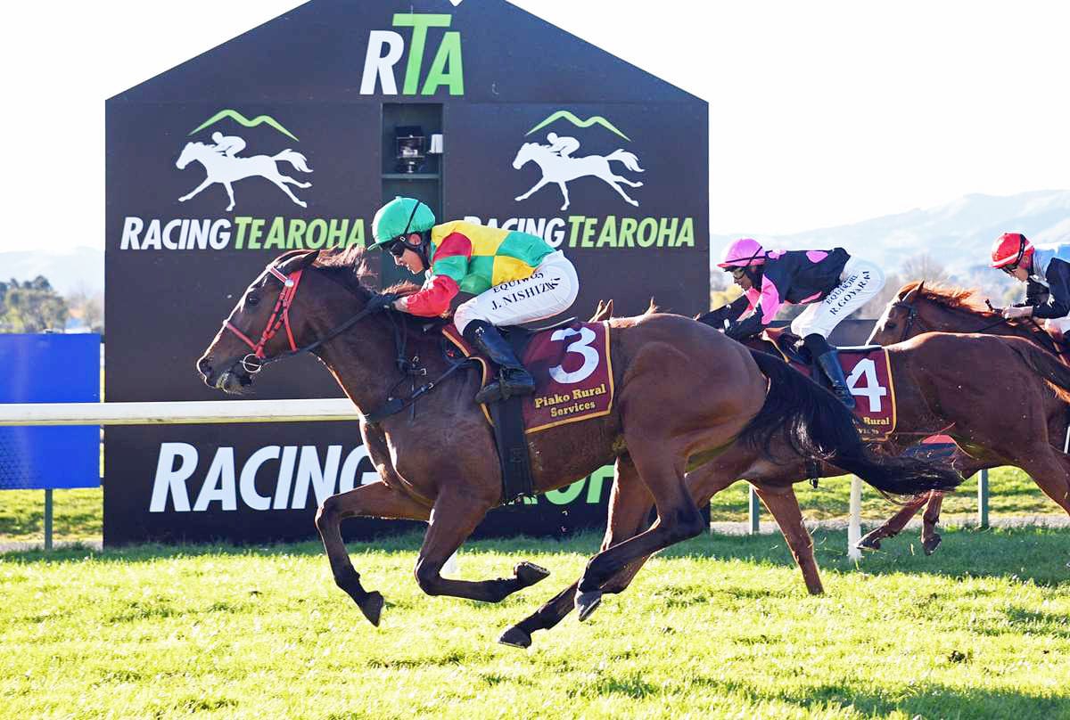 Neill’s patience rewarded with maiden win