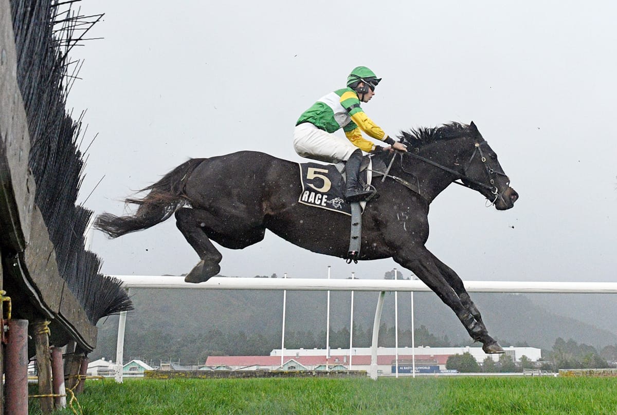 Poignant win for Billy Boy in Manawatu Hurdles