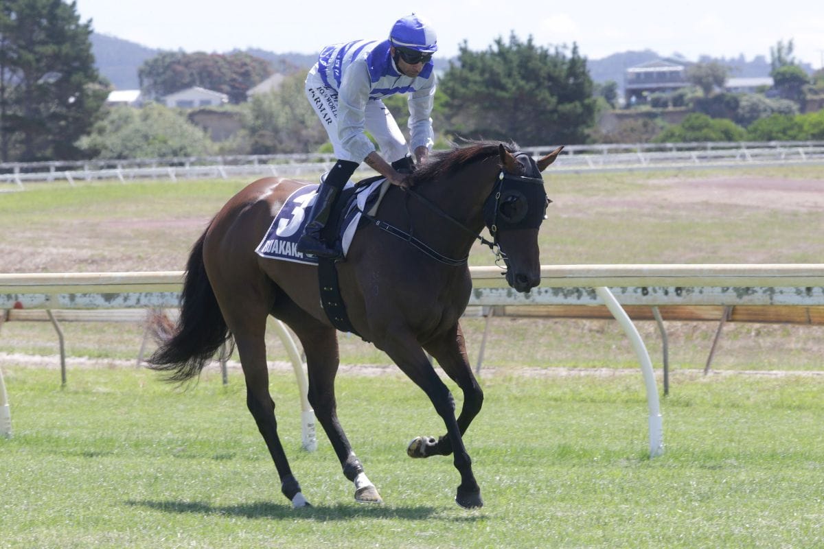 Bonifleur to make polytrack debut