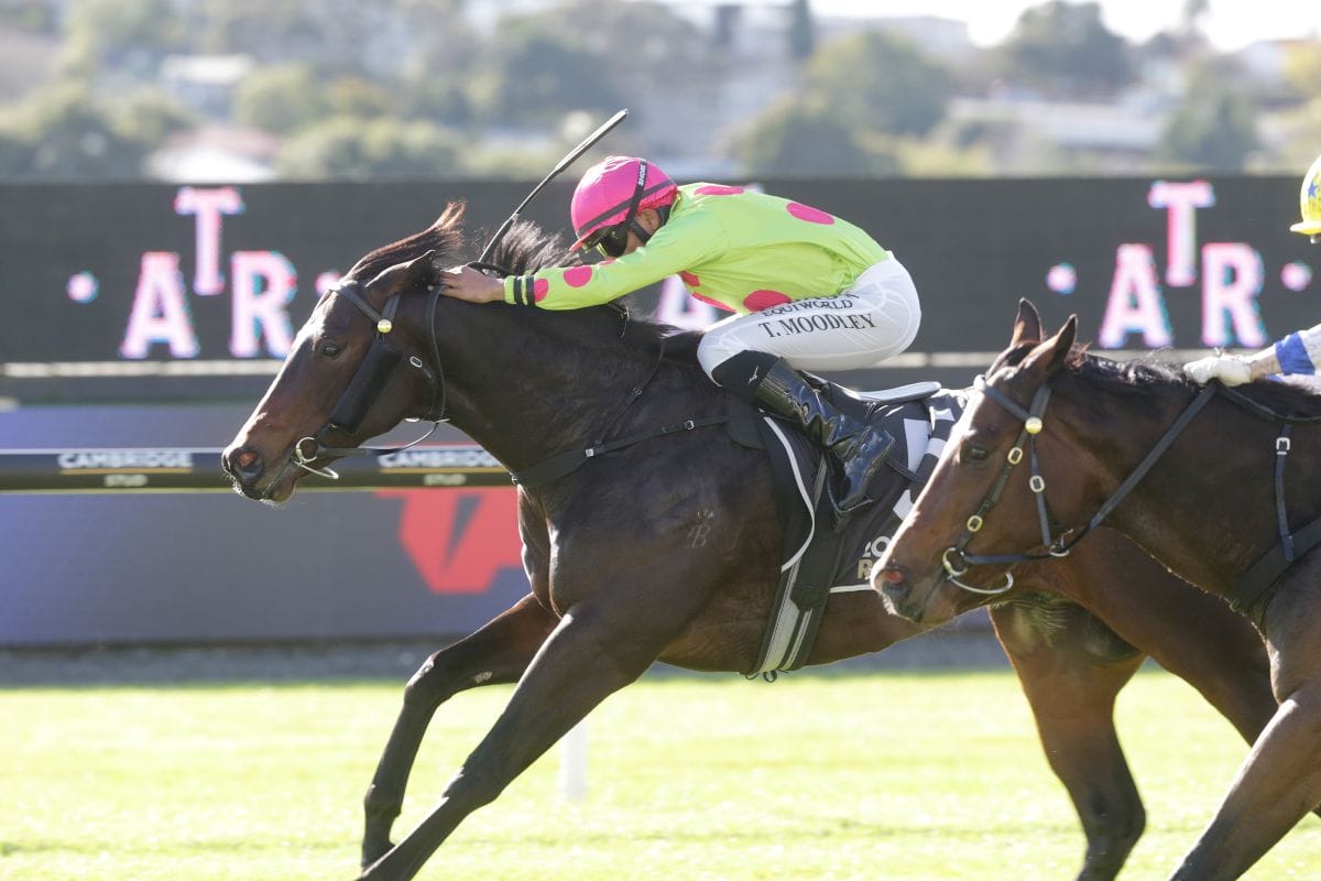 Berkley in high spirits after latest success