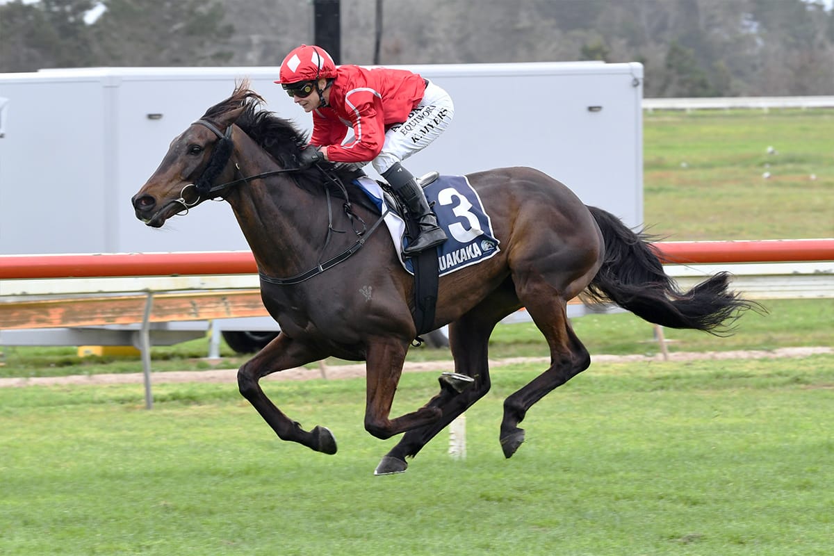 Local trainer hunting northern winter spoils