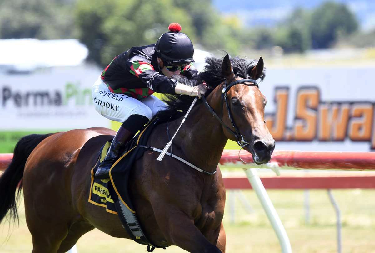 Filly aiming to turn fortunes around