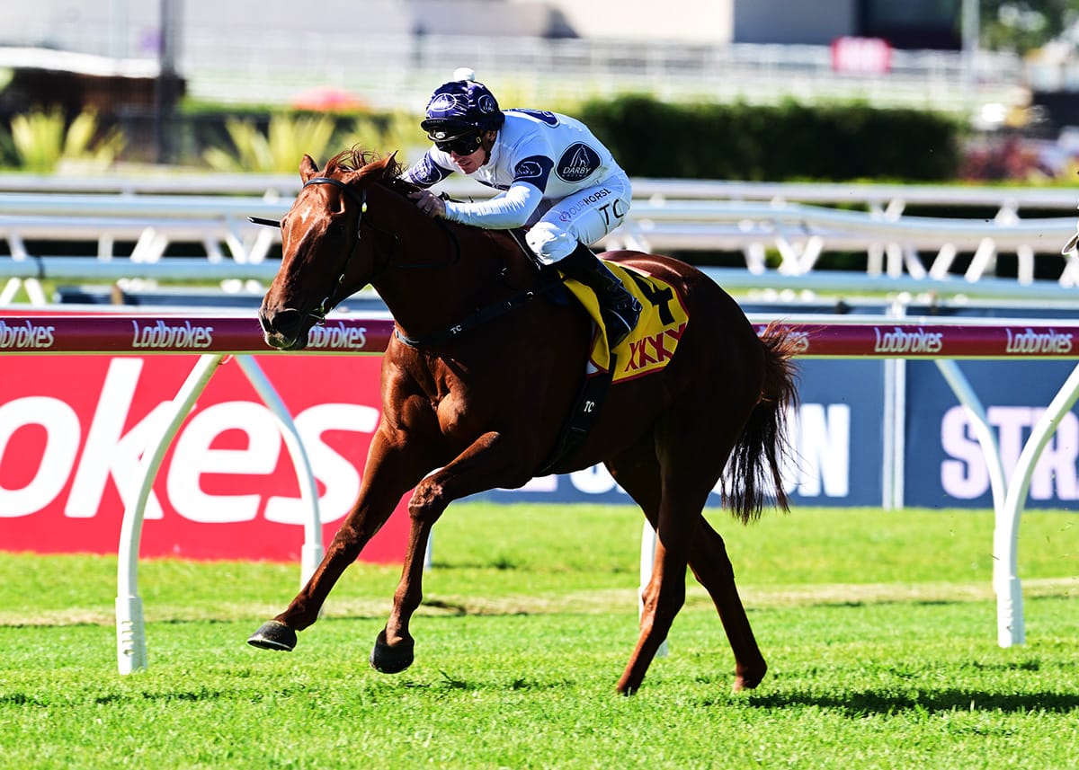 Campaldino triumphs in Brisbane Cup
