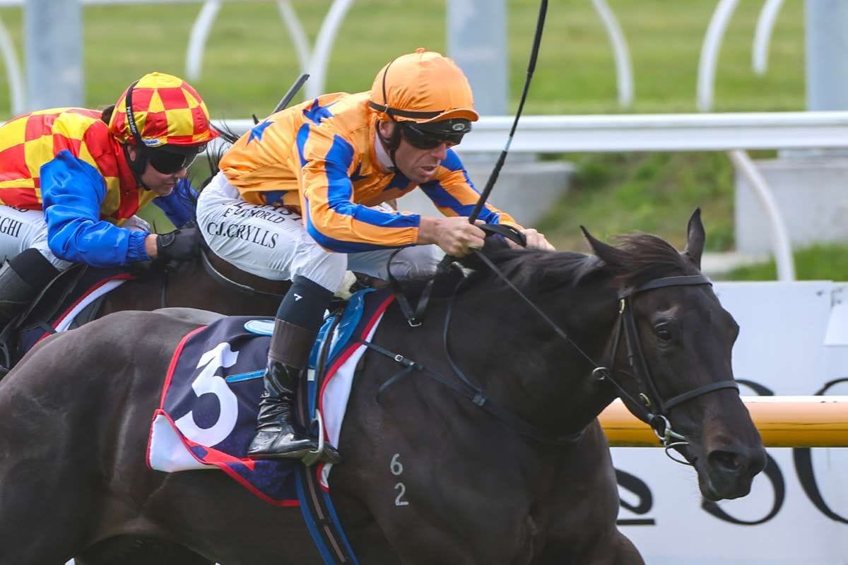 Class prevails with Cool Aza Rene