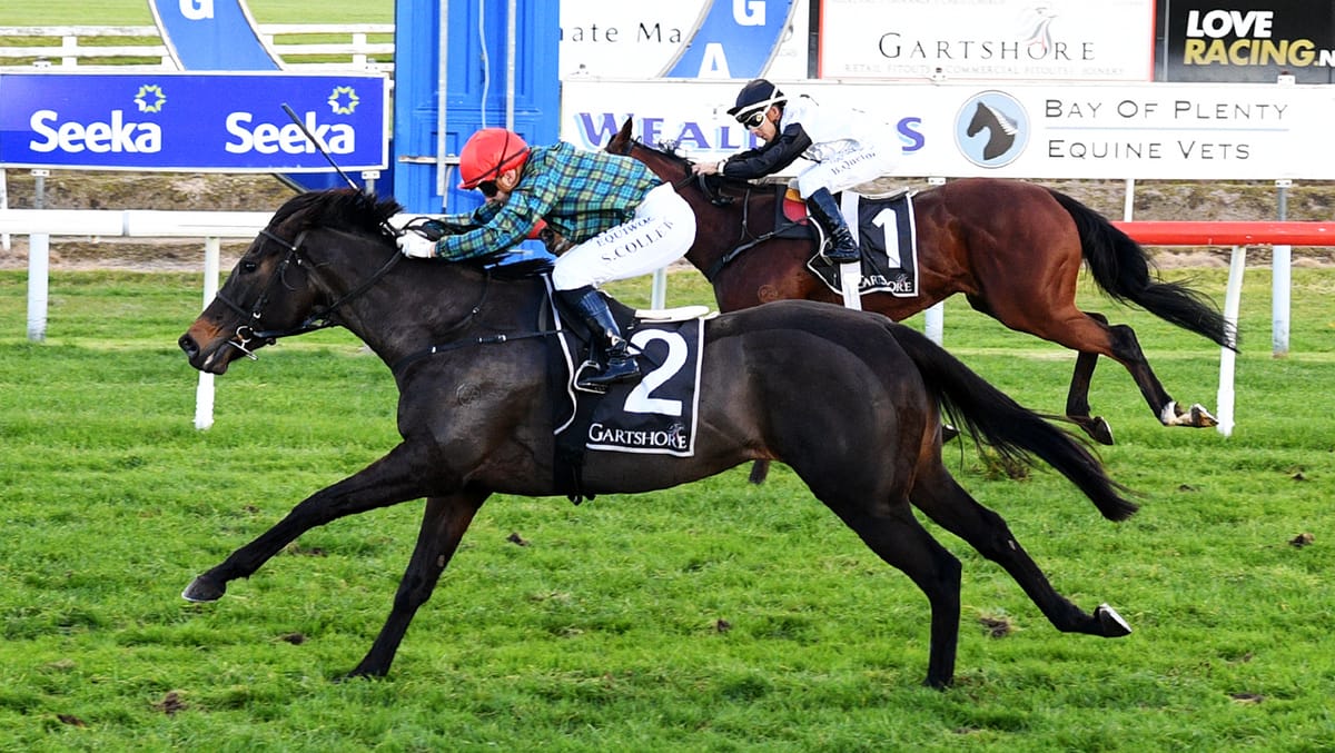 Third time lucky for Cork in Tauranga Classic