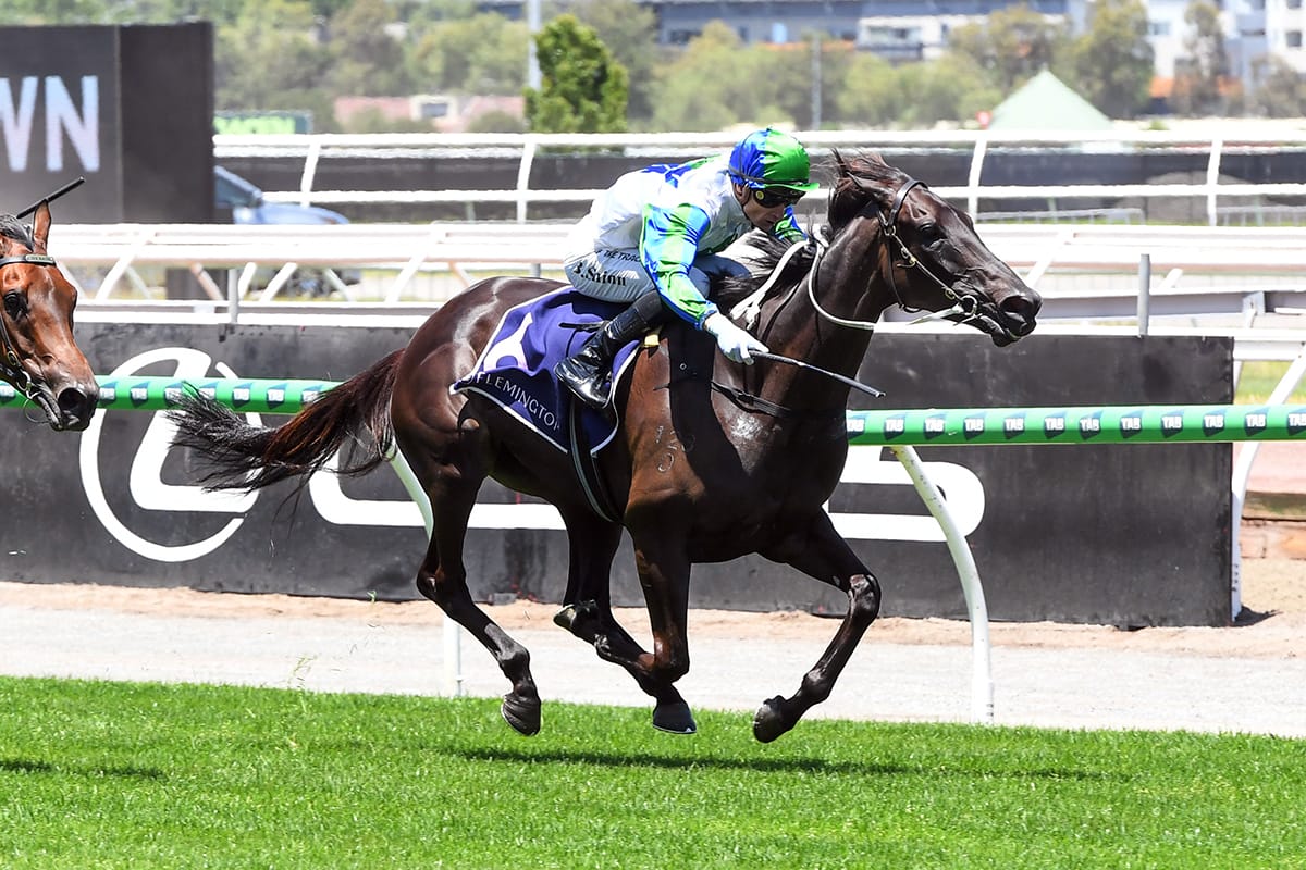 Dream All Day to follow in famed sister’s footsteps