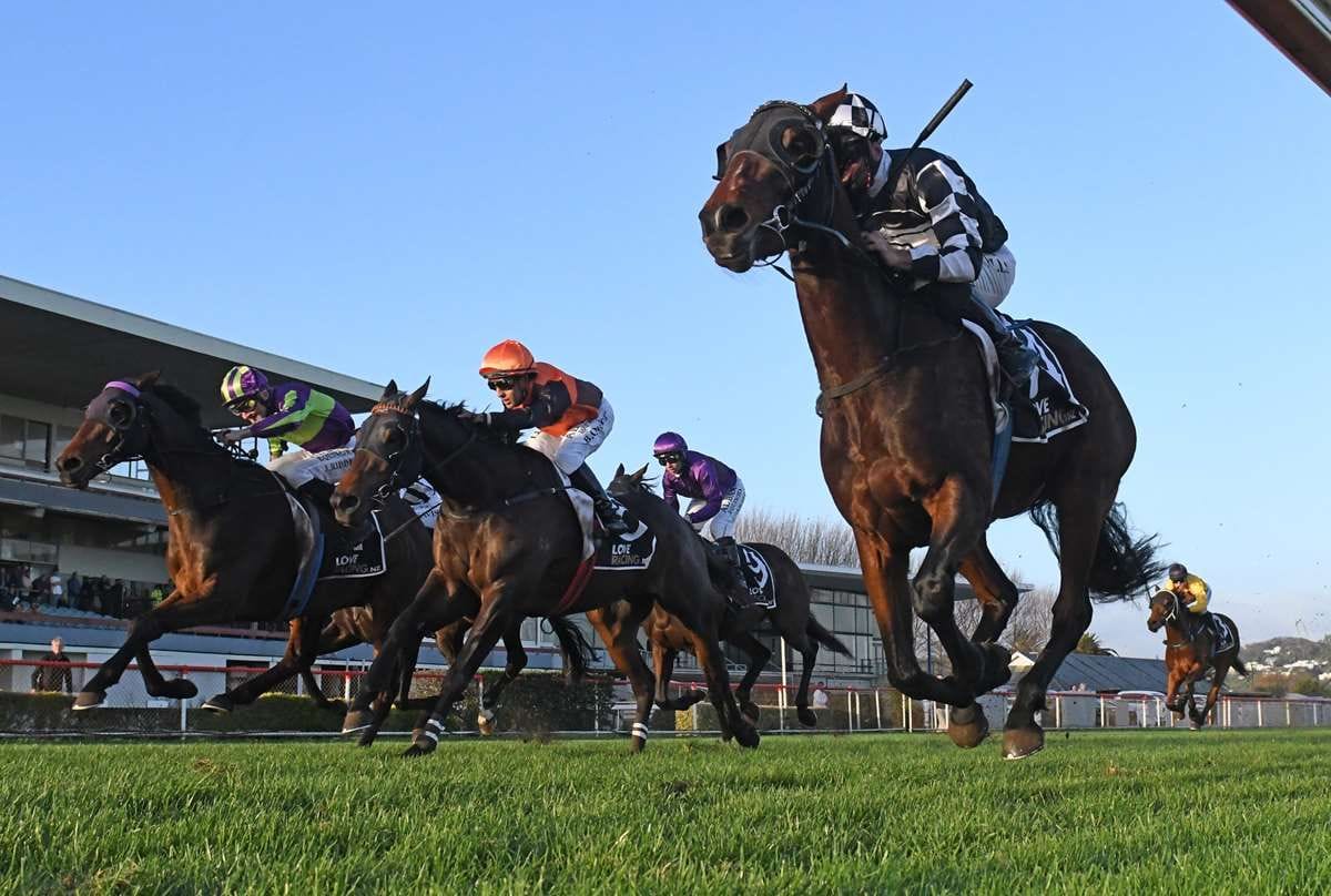 Pencarrow hits a hundred in stellar season