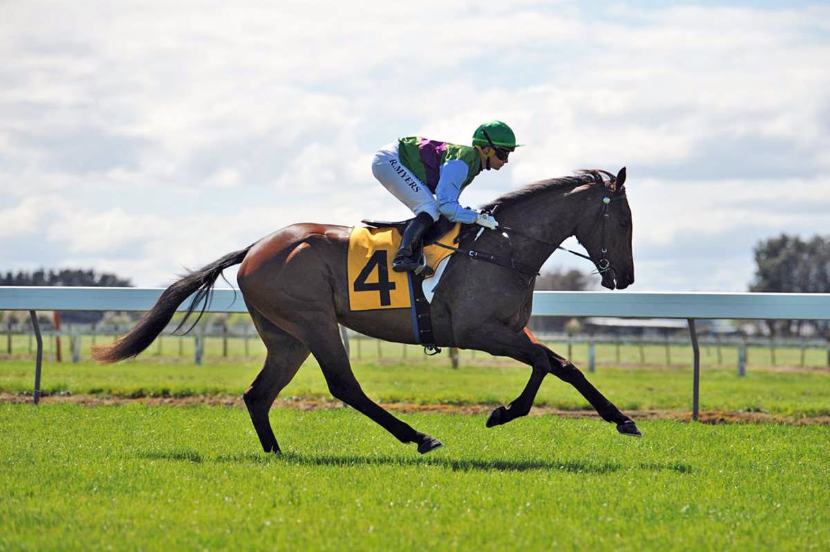 Myers continuing family dynasty