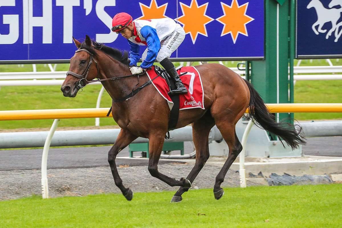 Reinvigorated Express Coup too tough at Timaru