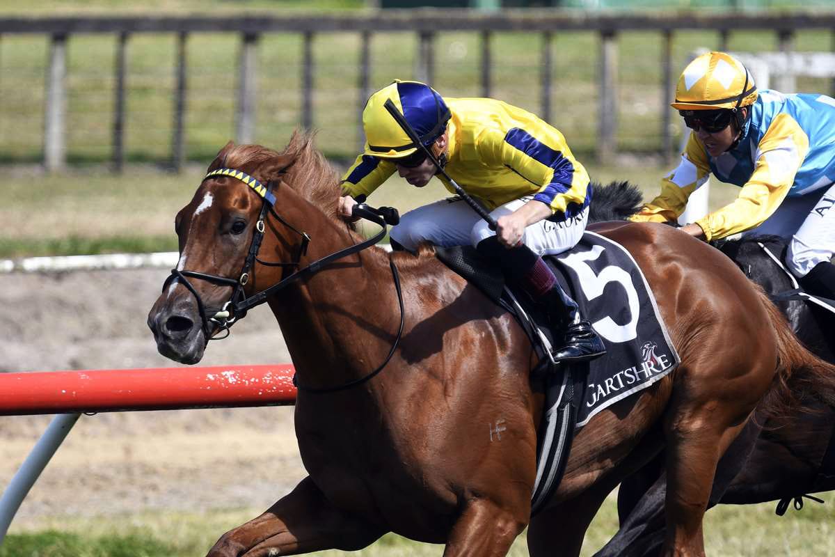 Tauranga finale for talented Wexford trio