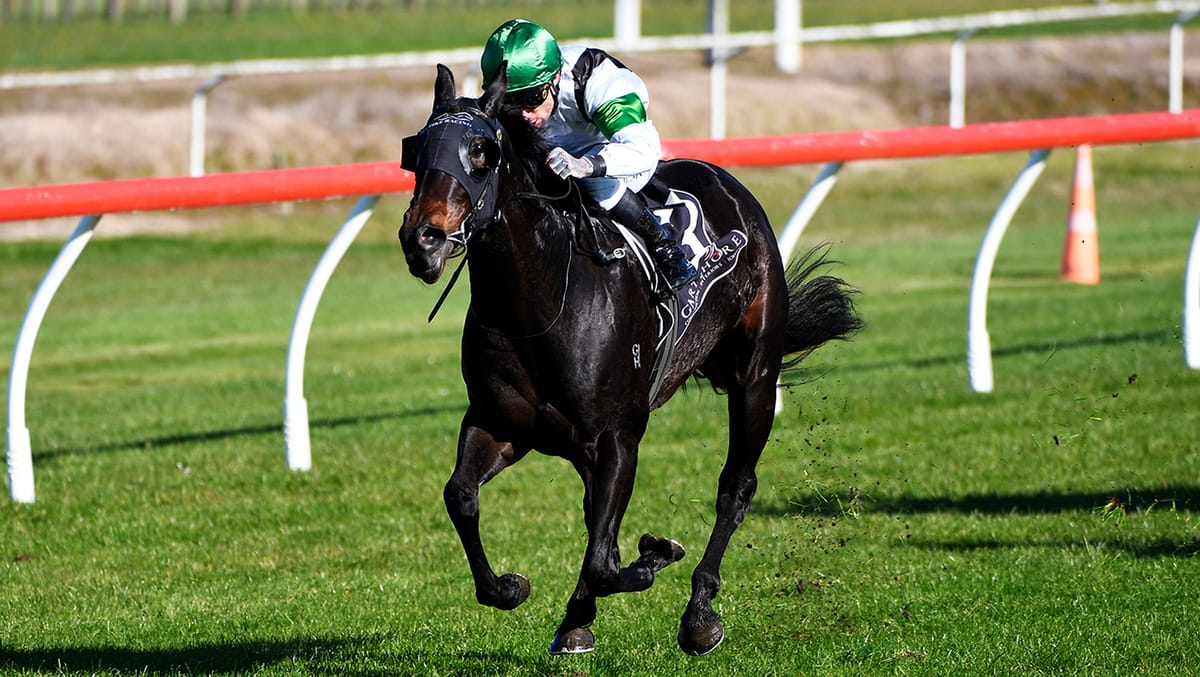 Honey Badger provides Pike with welcome back gift