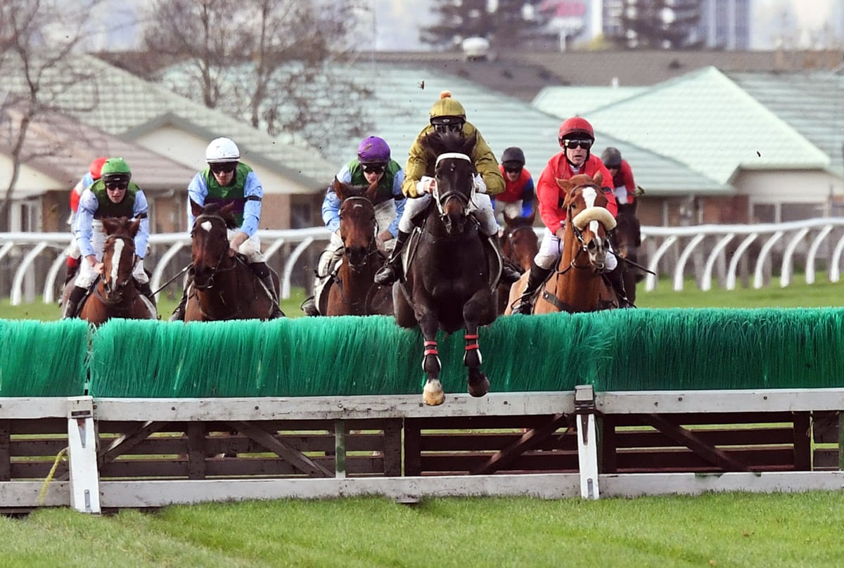 Jesko shooting for gold in Wellington Steeplechase