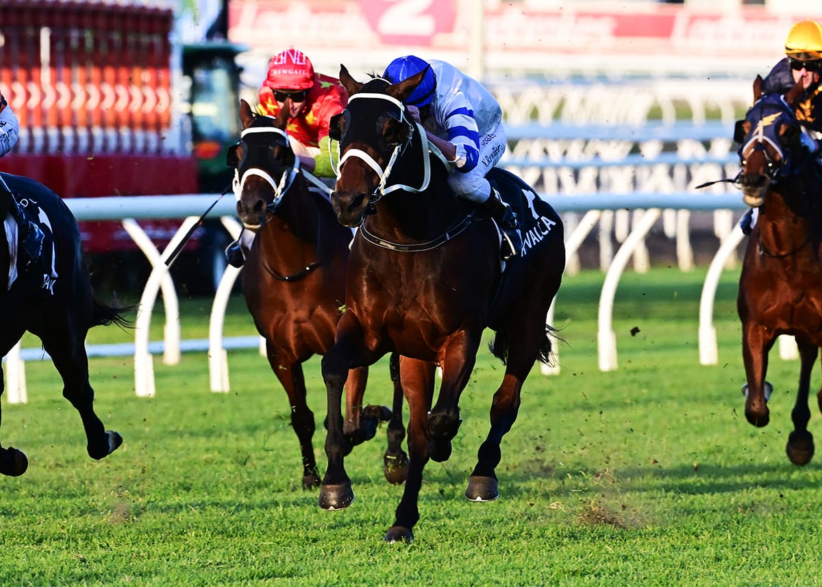 Kovalica back on top in Q22