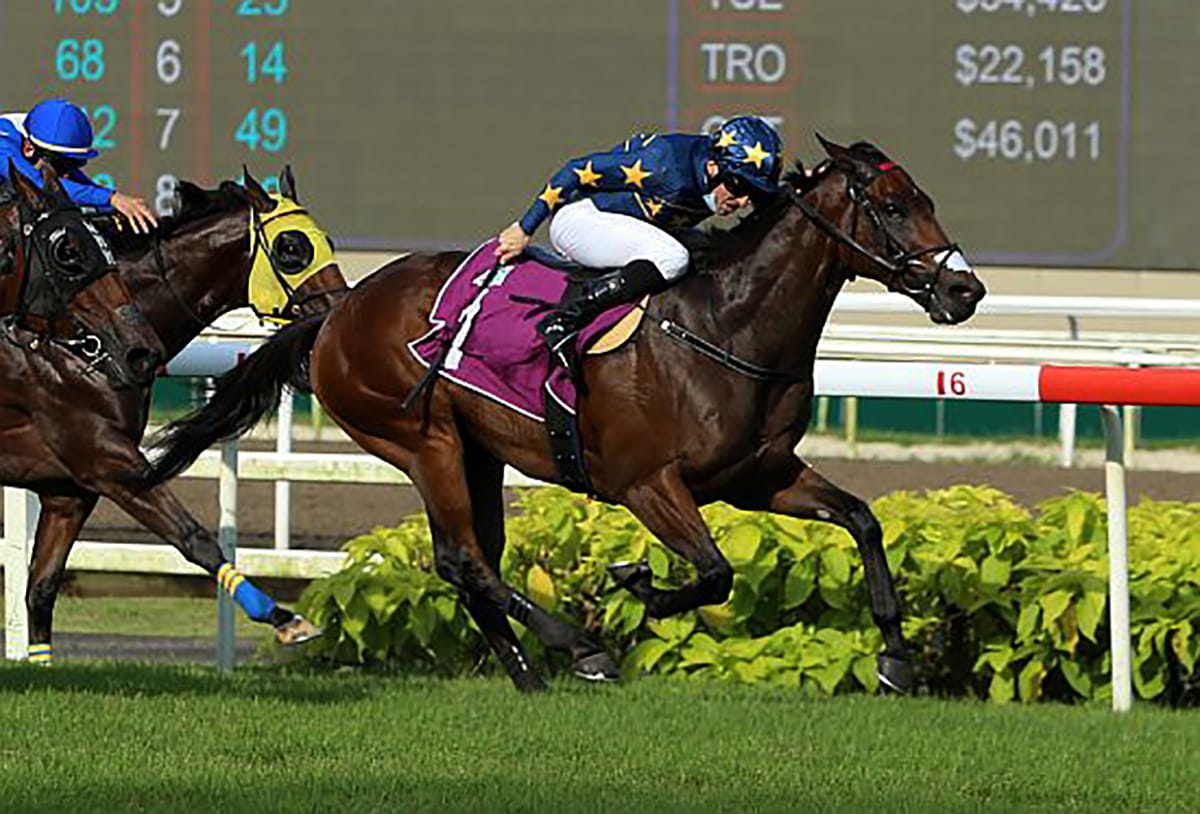 Spark ignited in Singapore star