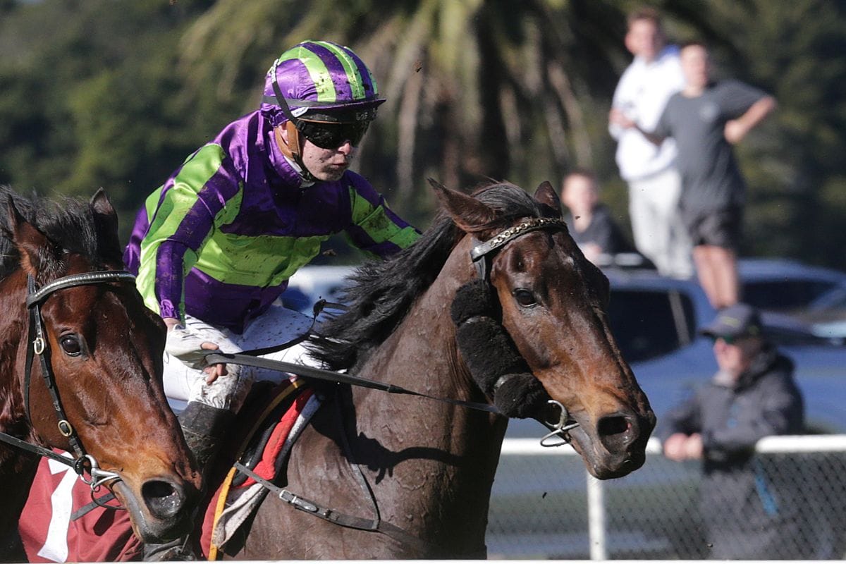 Lord Spencer sharp in Te Aroha victory