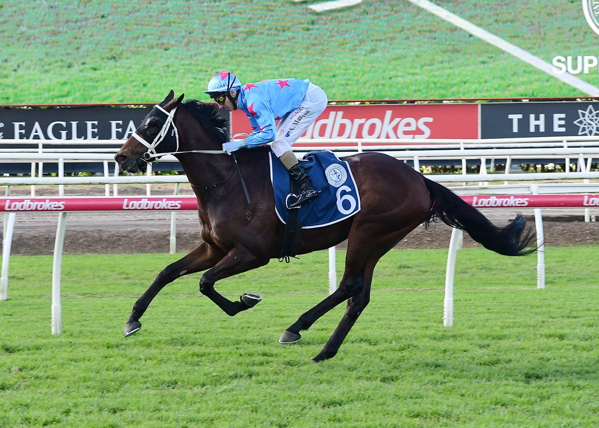 Manzoice back on top in Tattersall’s Cup