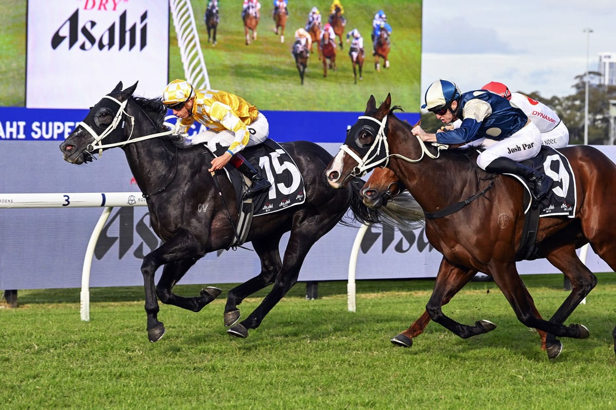 Misterkipchoge breaks through at Rosehill