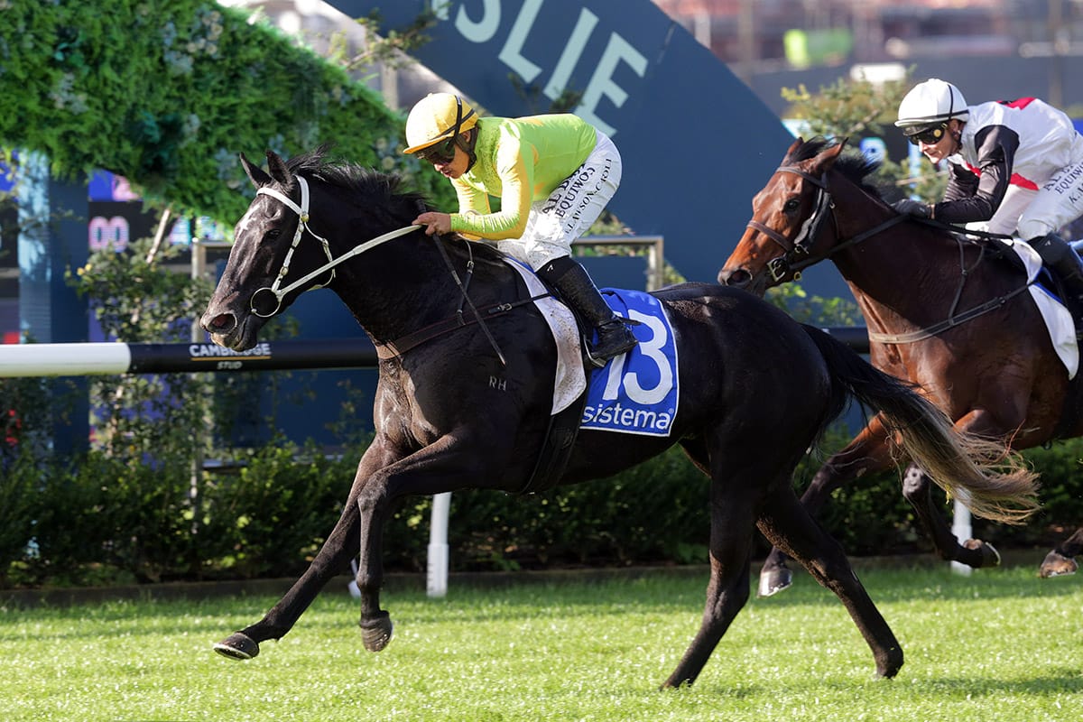 Moxie remains unbeaten at Ellerslie