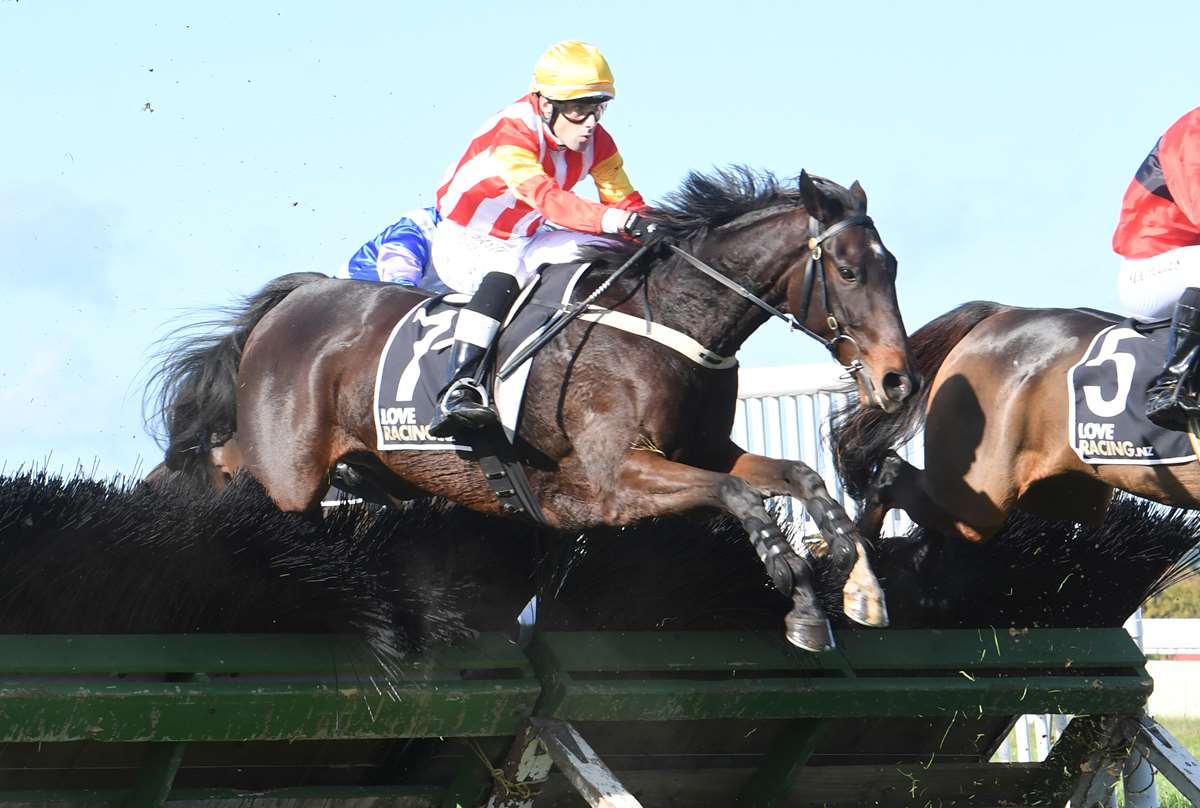 Temperton excited about prospects of promising hurdler