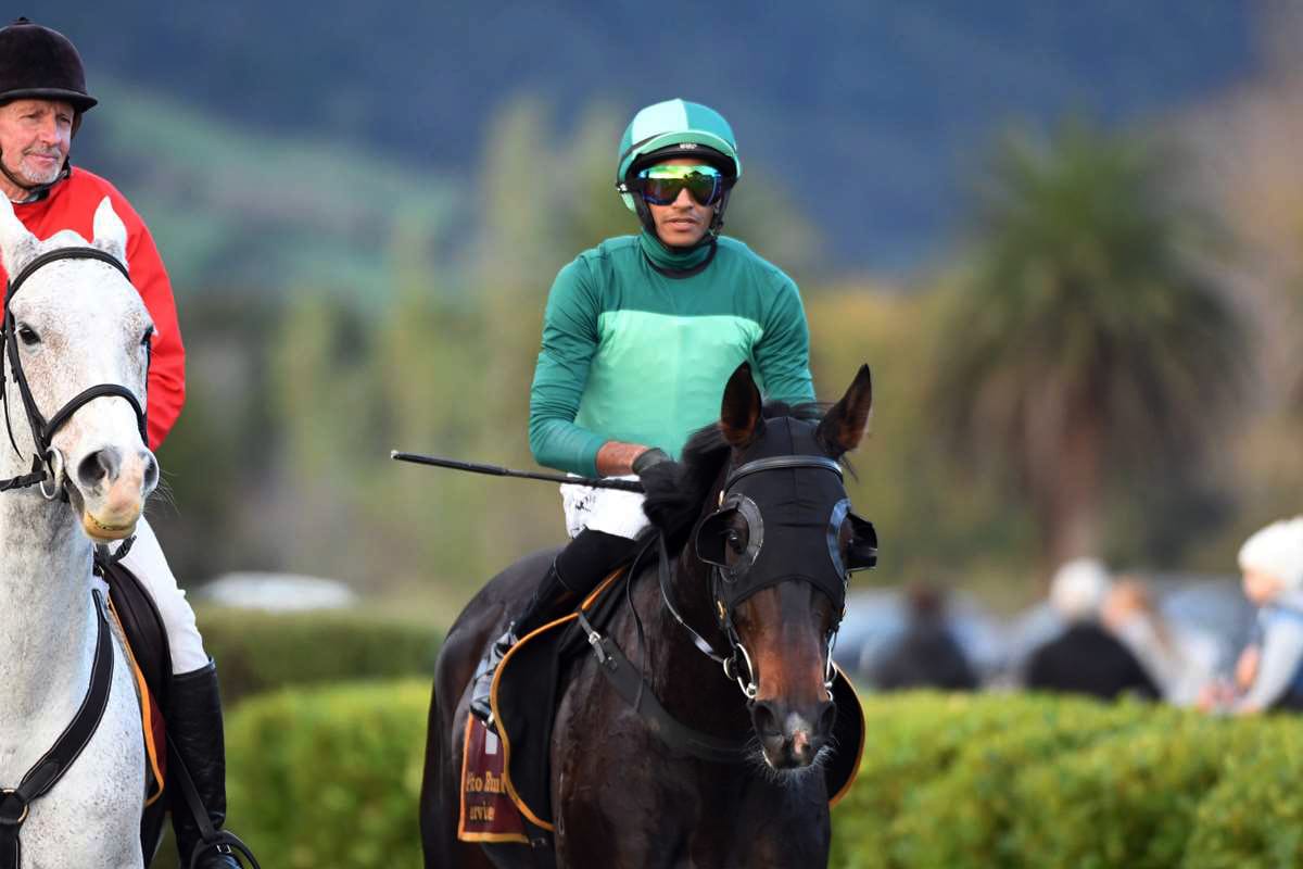 Apprentices get their time to shine at New Plymouth