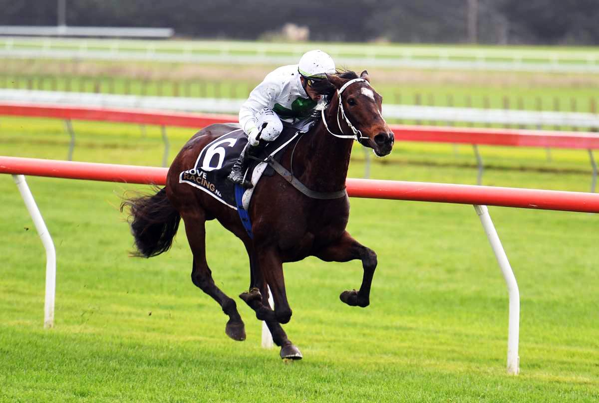 New recruit makes perfect start for Gordon