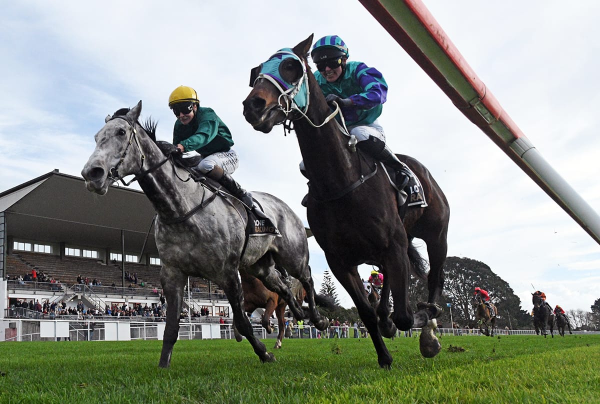 Piper’s Son outfights the favourite in Raukawa Cup