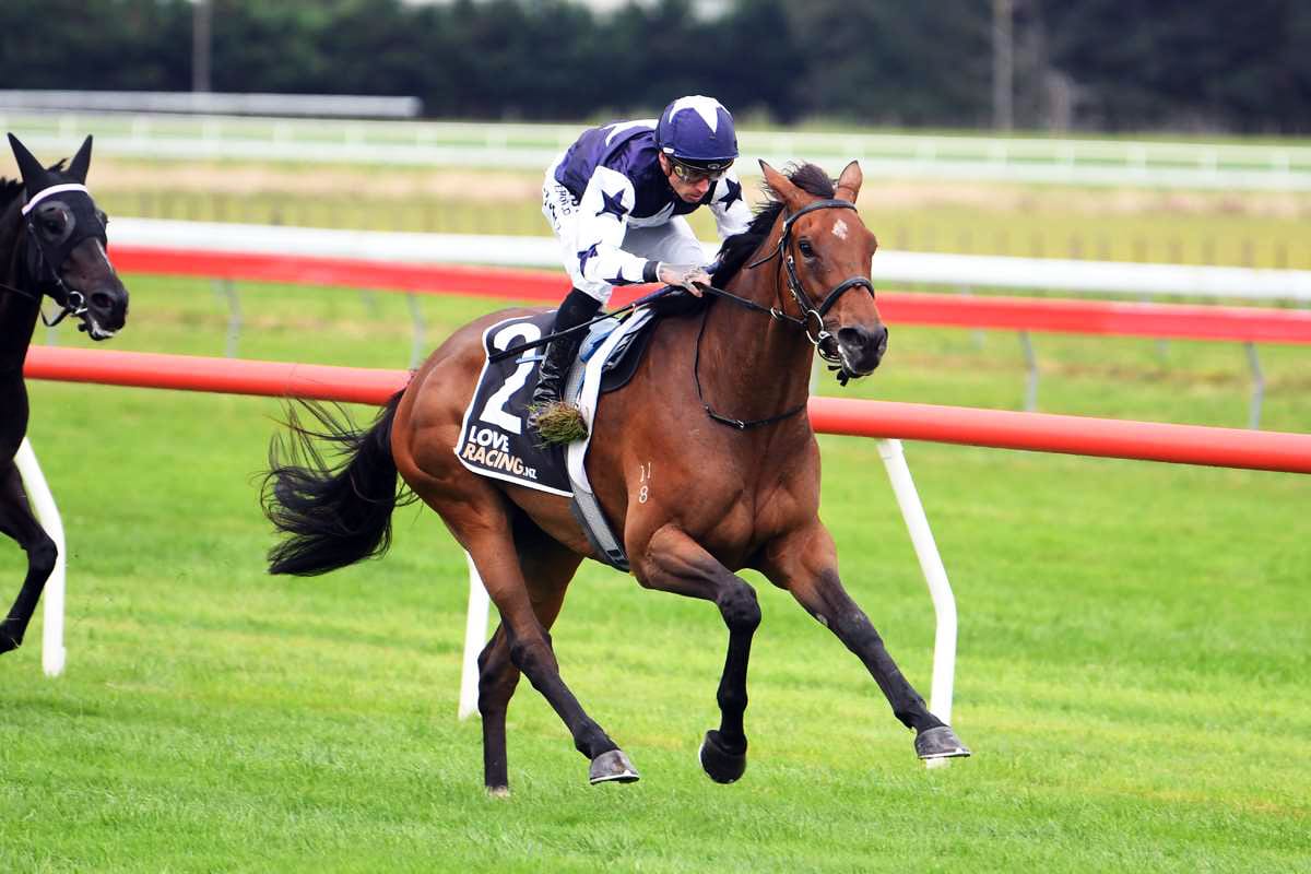 Wynyard hoping the stars align on Matariki