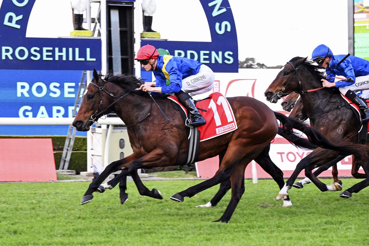 Sacred Rocks makes winning Sydney debut