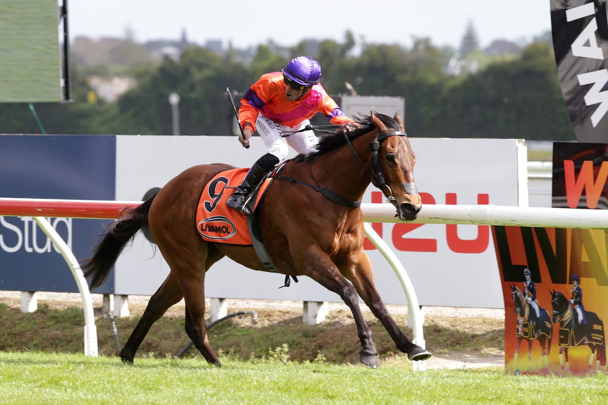 Big task ahead for Spencer in Ellerslie debut