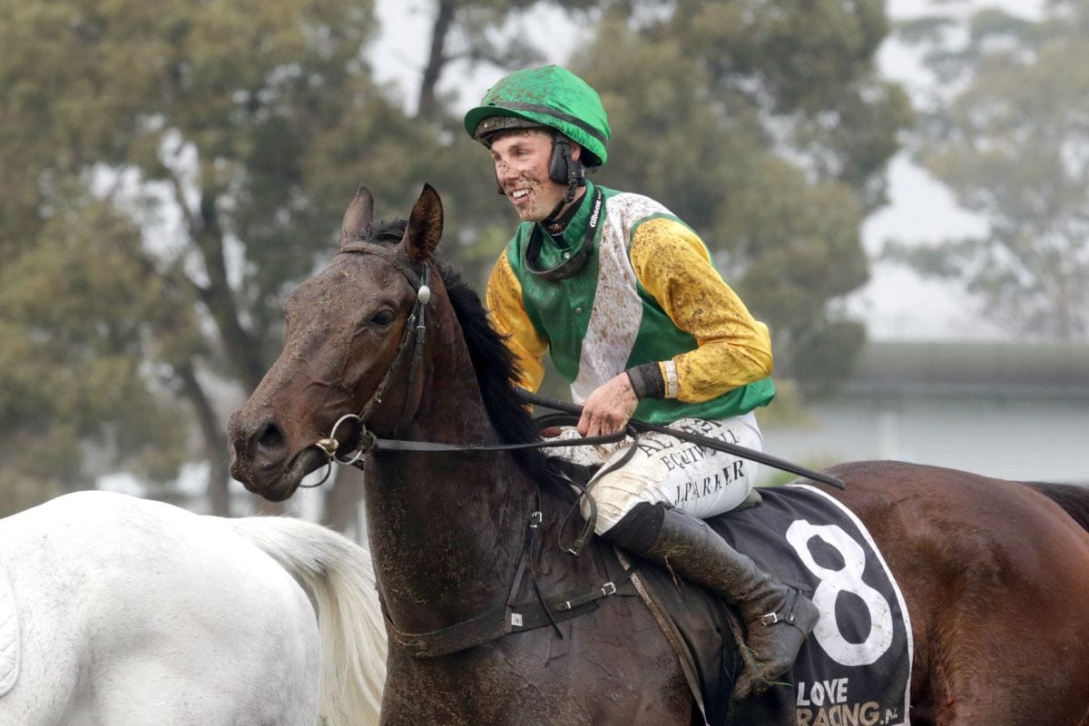 Squire successful on hurdle debut