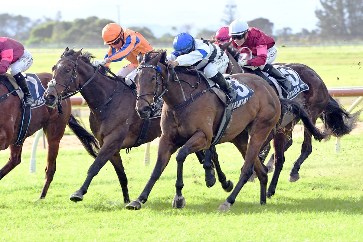 Waikato raiders dominate Winter Championships