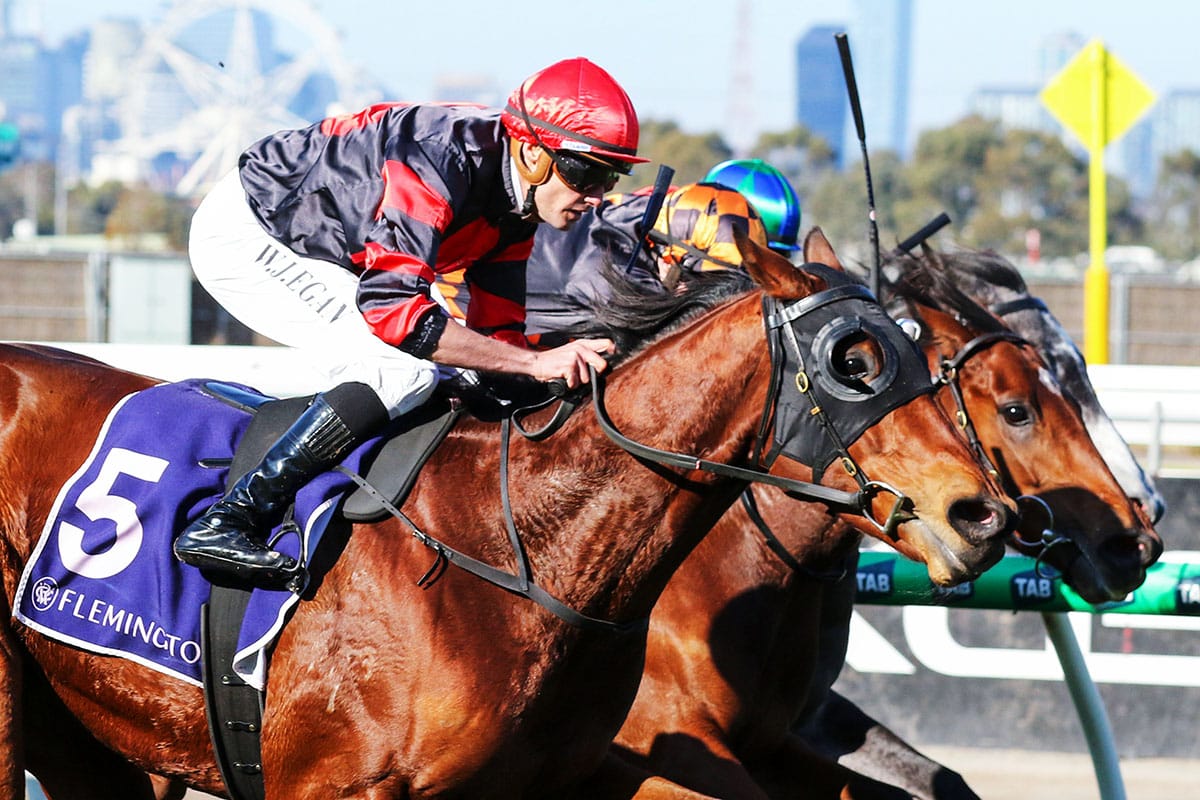 Stop The Rock continues run of form